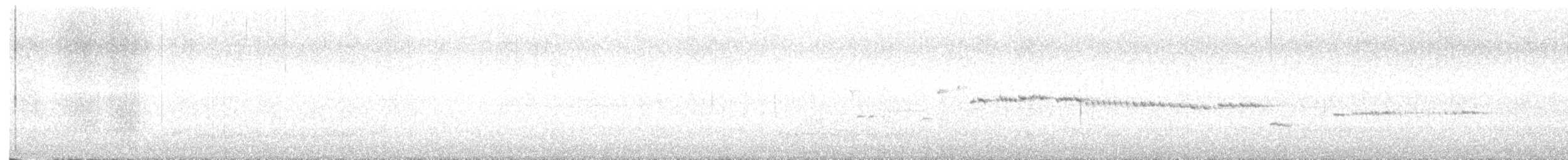 Gerigón Maorí - ML645638654