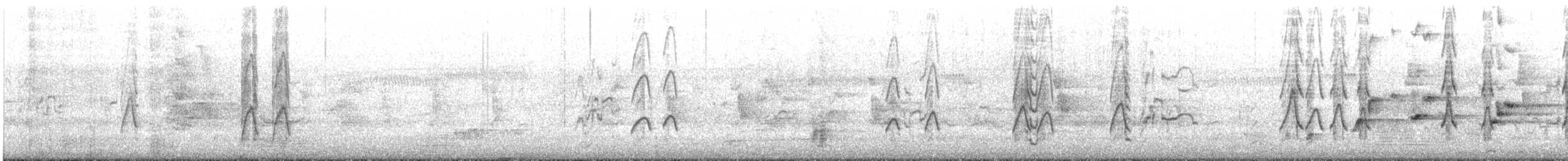 Focha Común - ML645638681