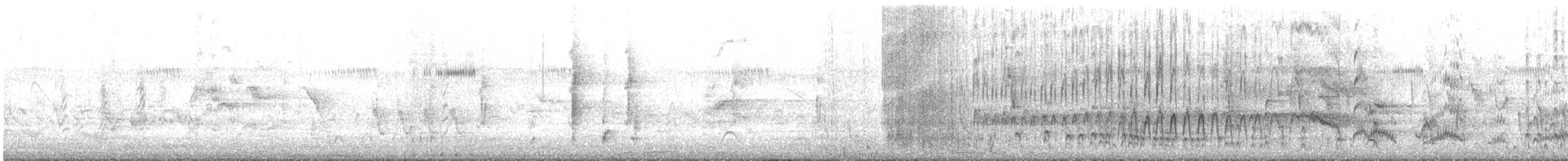 Pato Pachón - ML645638682