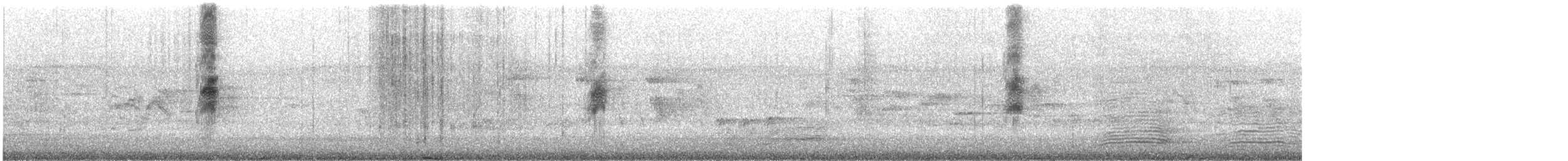 Mielero Carunculado - ML645638688