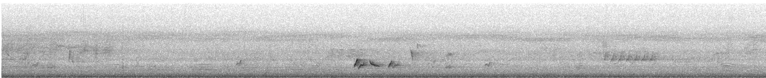 Mielero Cantarín - ML645638692