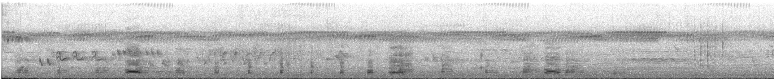 Ibis Moluqueño - ML645638727