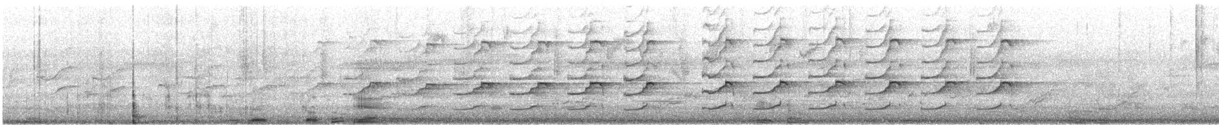 Azor Australiano - ML645638736