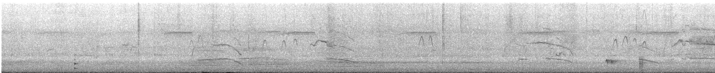 Gallineta Enlutada - ML645638748