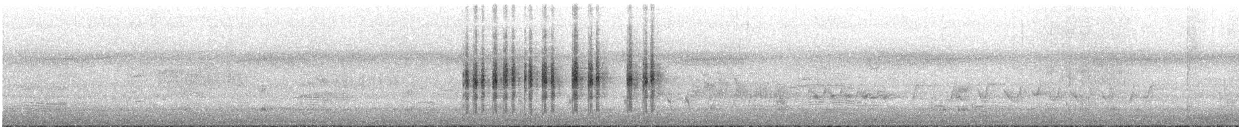 Willie-wagtail - ML645638777