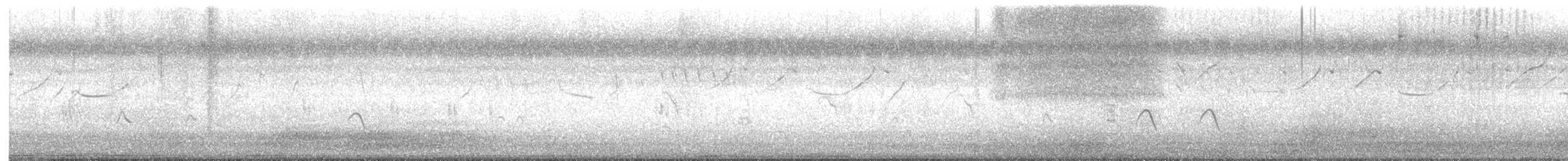 Prinia Sencilla - ML645639312