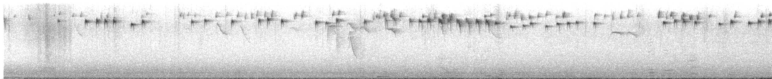 Reyezuelo Sencillo - ML645639373