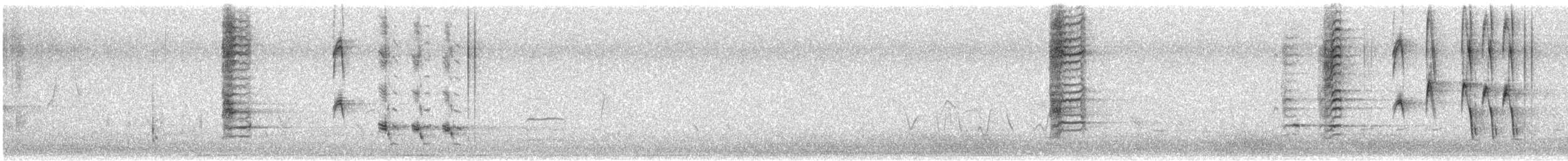 White-fronted Honeyeater - ML645640014