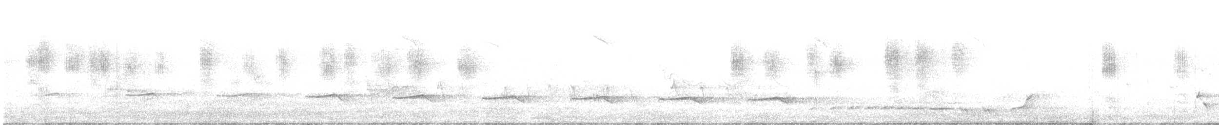 Sahul Brush Cuckoo - ML645640117