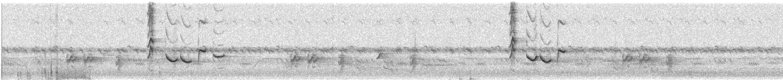 Африканская мухоловка [группа microrhynchus] - ML645640120