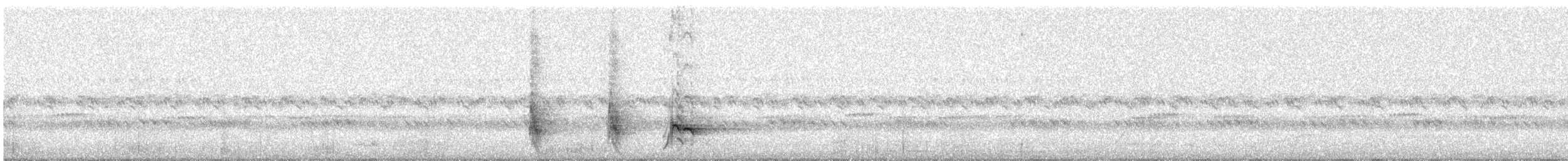 Синеухий спрео - ML645640142