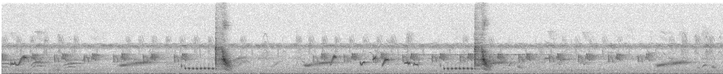 Траурный бубу - ML645640145