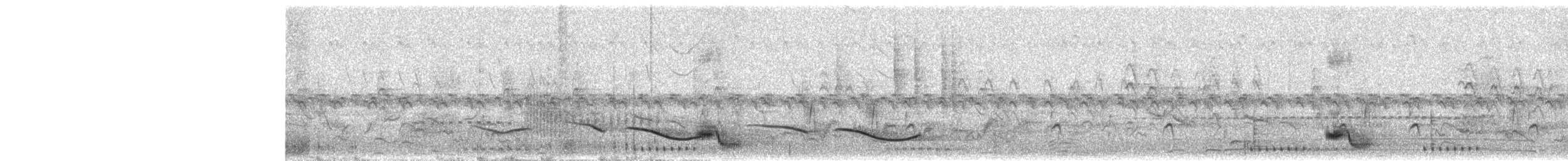 Black-crowned Tchagra (Black-crowned) - ML645640156