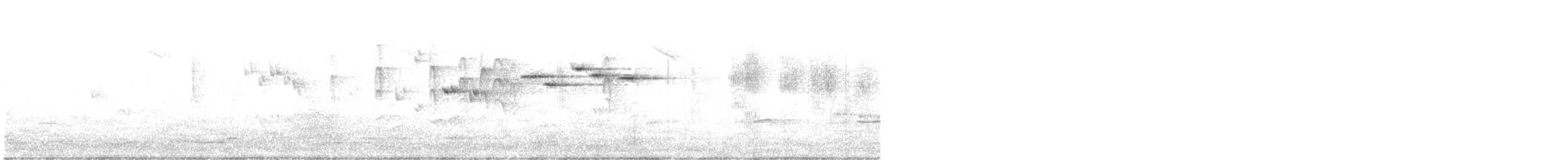 Серая веерохвостка (alisteri) - ML645640157