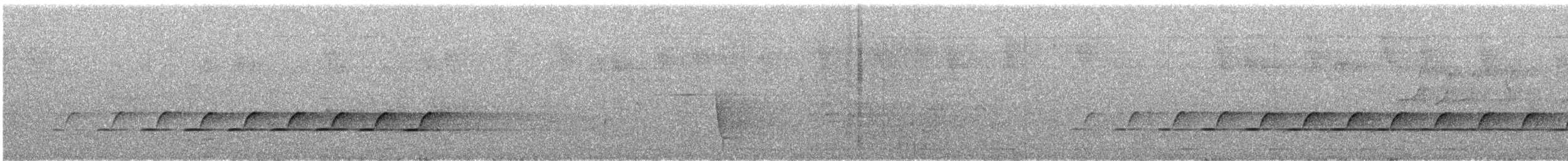 Spotted Quail-thrush - ML645640240