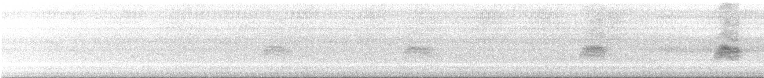 Indian Pied Starling - ML645640717