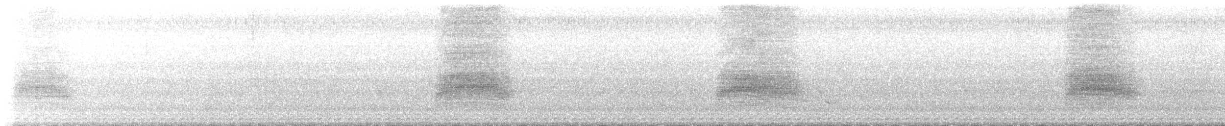 Indian Pied Starling - ML645640718