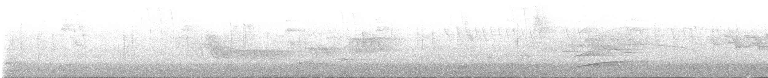 Wilson's Warbler - ML645640912