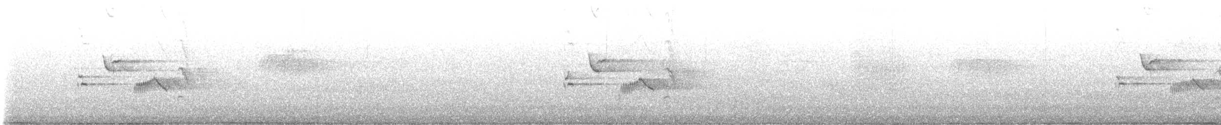 Orange-billed Nightingale-Thrush - ML645640995