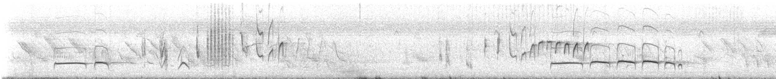 Dideric Cuckoo - ML645641062