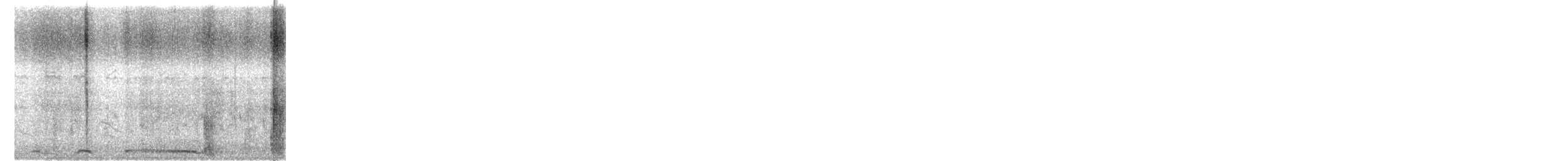 Spotted Dove - ML645641110