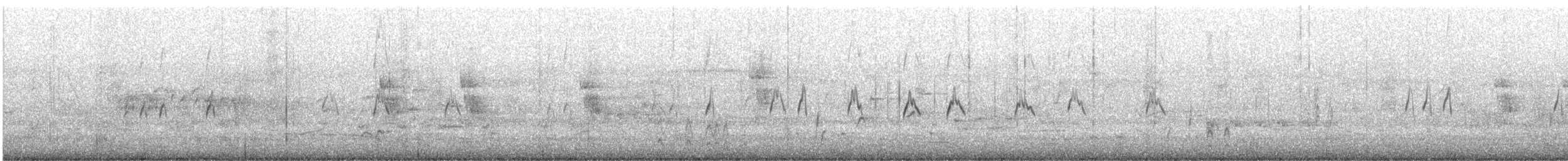 サザナミオオハシガモ - ML645641743