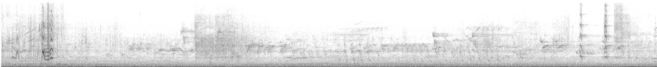 サザナミオオハシガモ - ML645641744