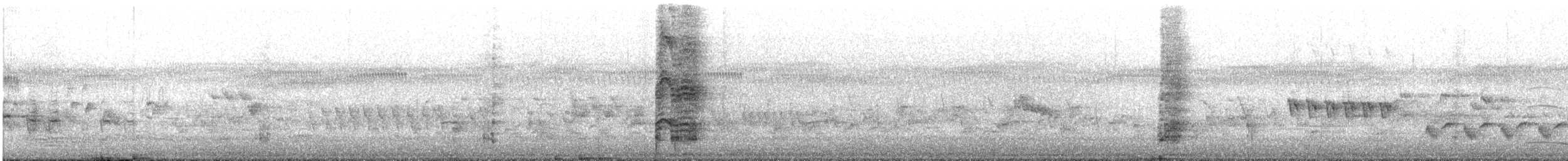 オーストラリアセイケイ - ML645641746