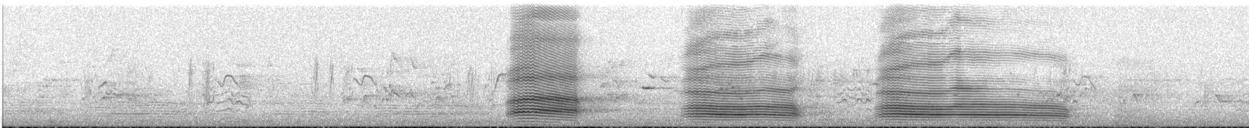 Australian Raven - ML645641837