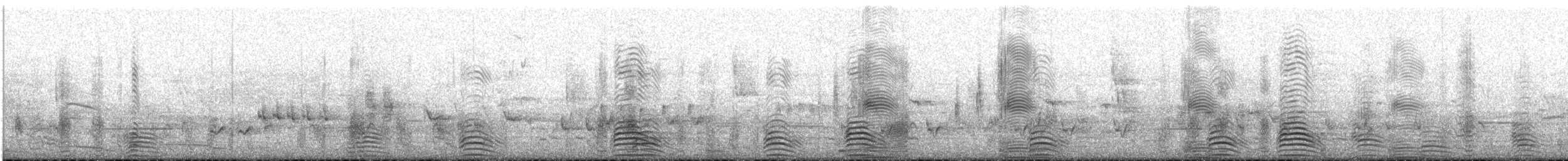 Paita australiarra - ML645641989