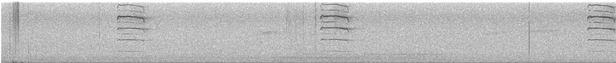 Long-eared Owl - ML645642178