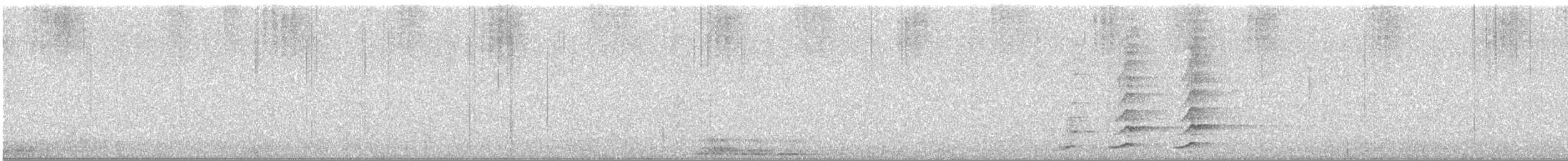 Chouette hulotte - ML645642225