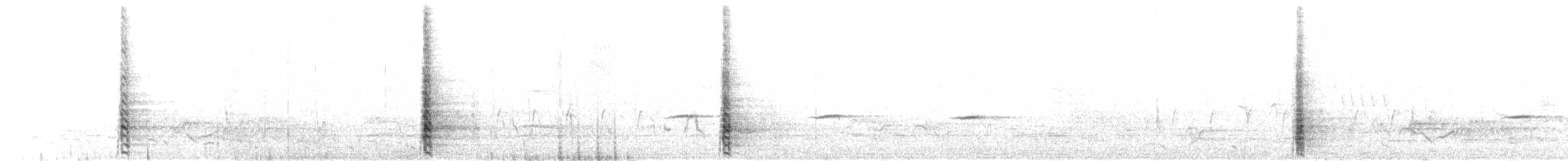 Red-billed Spurfowl - ML645642360