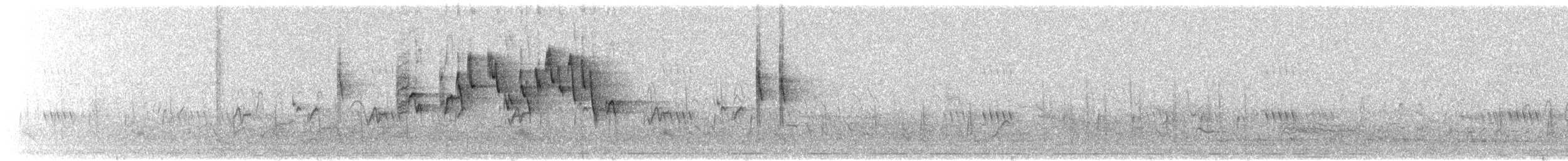 White-bellied Sunbird - ML645642368