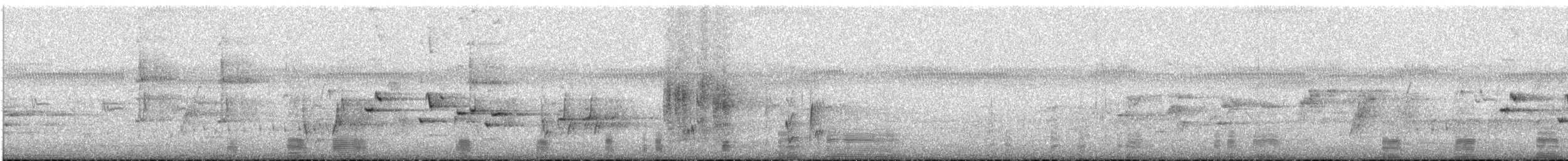 Australian Ibis - ML645642389