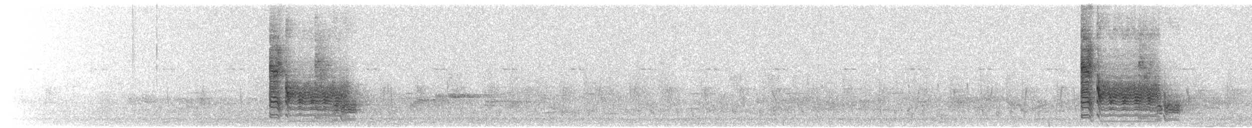 Green-backed Camaroptera (Gray-backed) - ML645642393