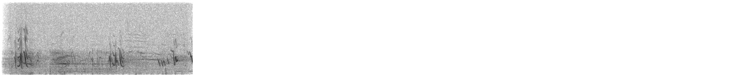 Fahlflügelstar - ML645642427