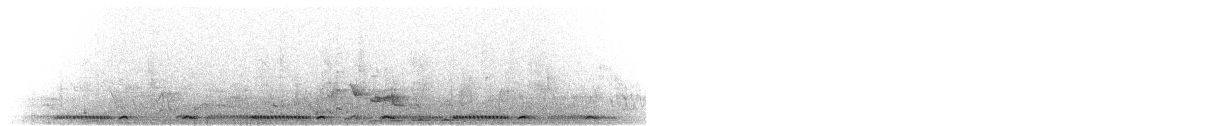 Gurrtaube - ML645642490