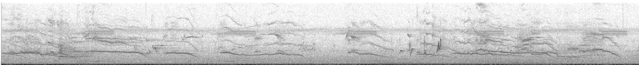 Dusky Moorhen - ML645643007