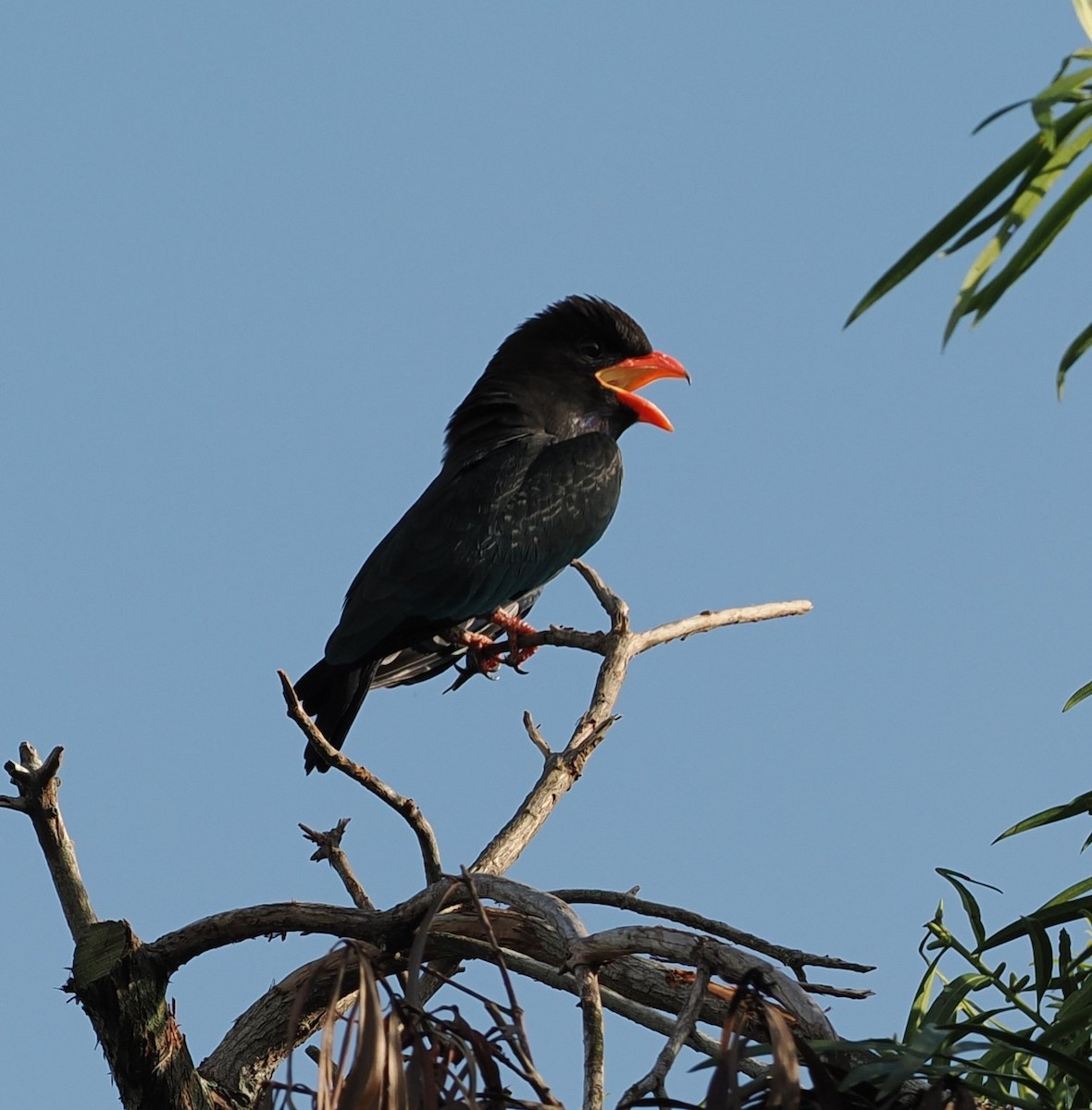 佛法僧 - ML645643041