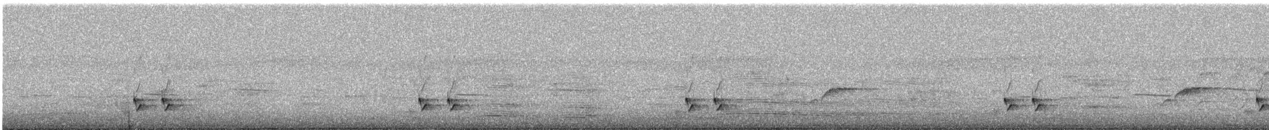 Streifenpanthervogel (substriatus) - ML645643156