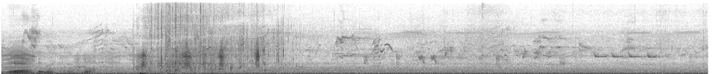 Haubentaucher - ML645643179