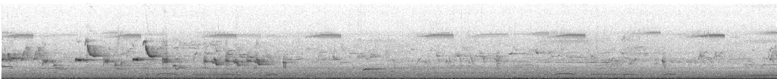 Lappenente - ML645643194