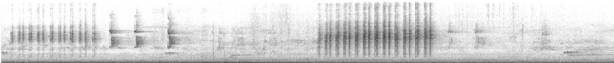 Gartenfächerschwanz - ML645643199