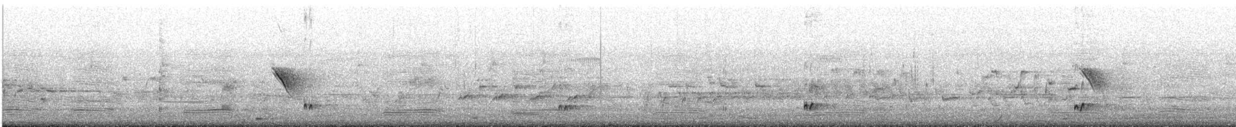 Érismature à barbillons - ML645643413