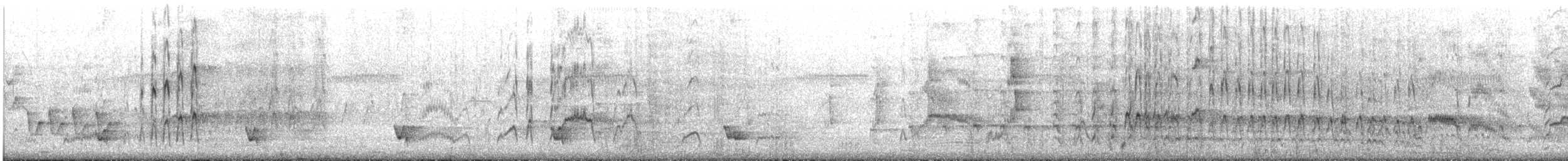 Malacorhynque à oreilles roses - ML645643414