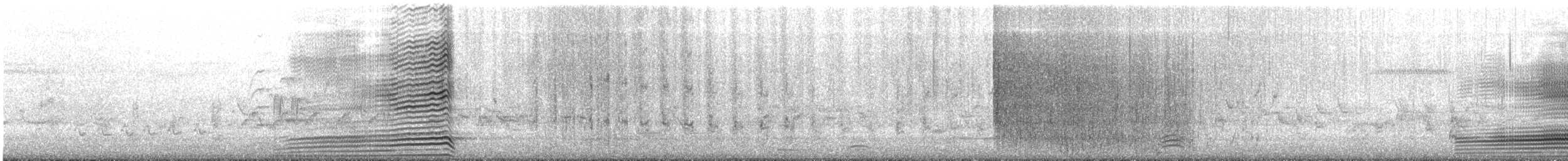 Maned Duck - ML645643499