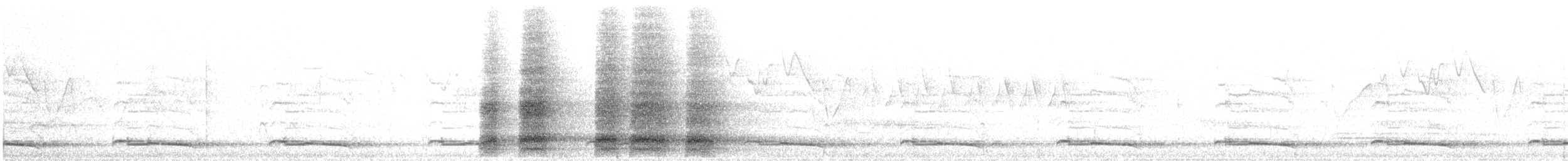 bažant chocholatý - ML645643536