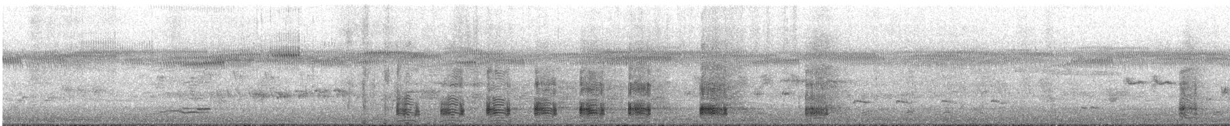 Ібіс молуцький - ML645643908