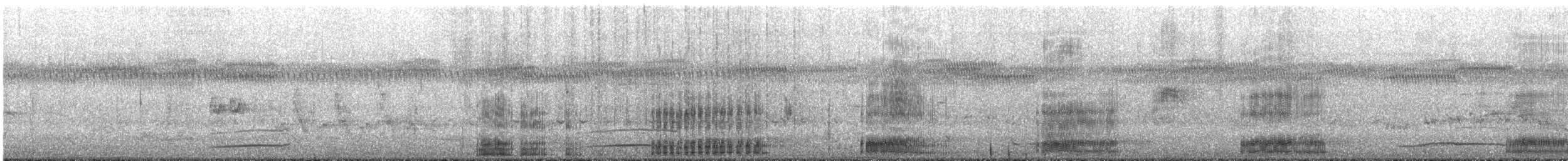 Чепура велика (підвид modesta) - ML645643992